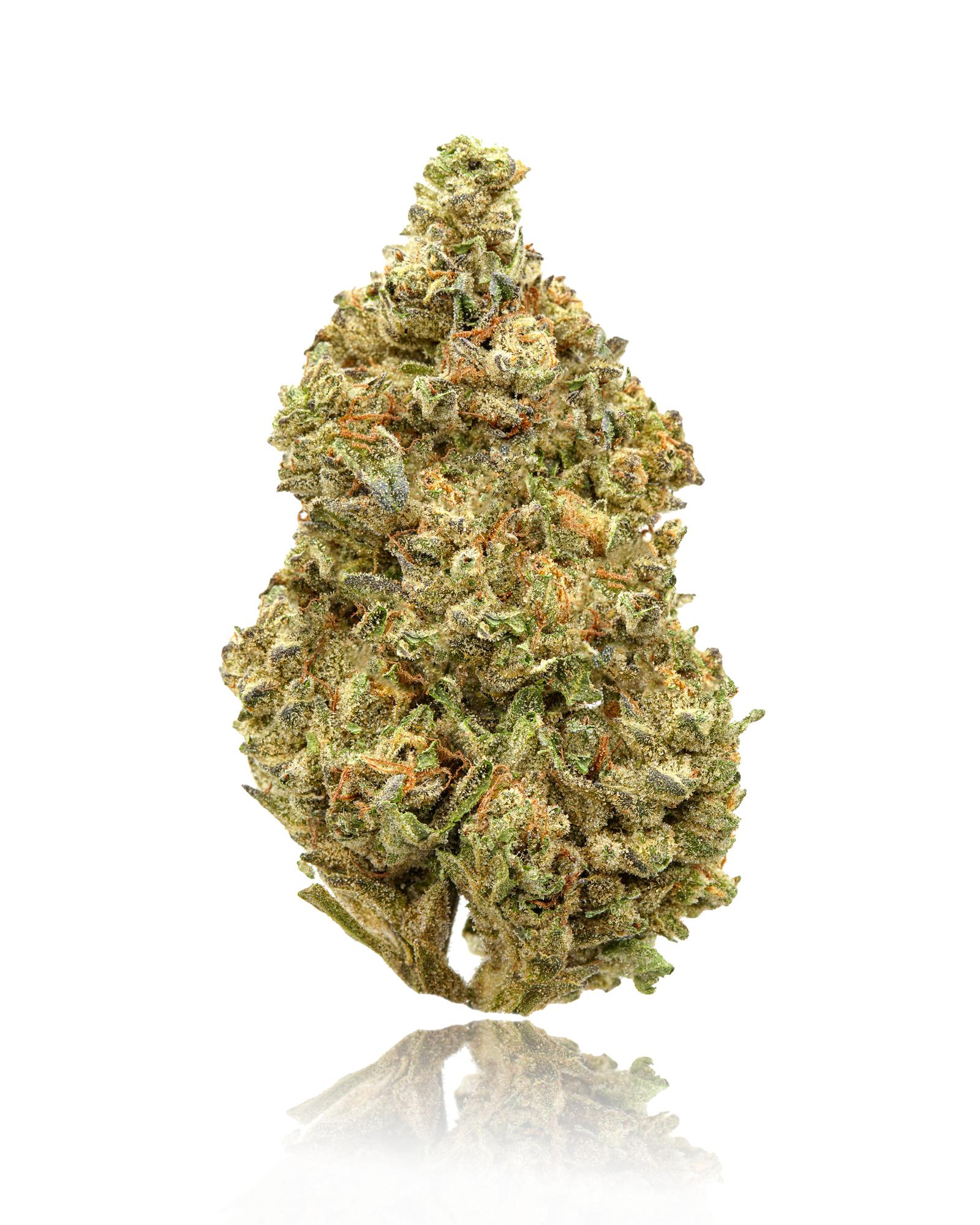 Medicinal marijuana feminized for experience growers