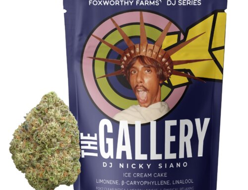 DJ Nicky Siano • Ice Cream Cake