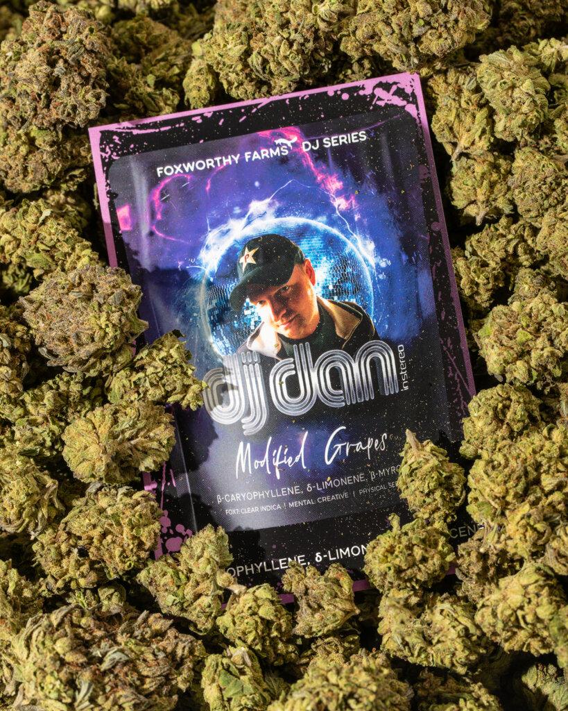 DJ Dan • Modified Grapes • DJ Series • Foxworthy Farms