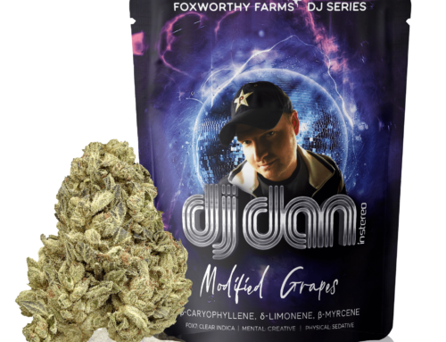 DJ Dan • Modified Grapes