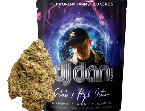 DJ Dan Gelato x High Octane