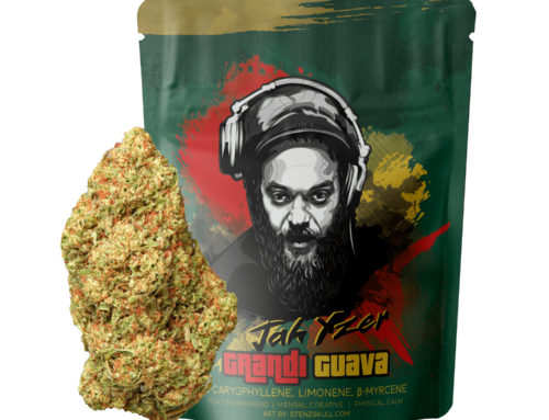 DJ Jah Yzer • Grandi Guava