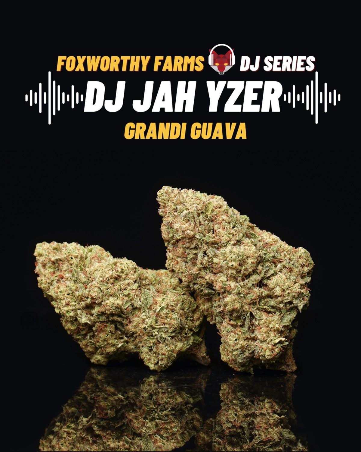 DJ Jah Yzer • DJ Series • Grandi Guava, Grandiflora