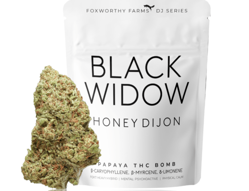 Honey Dijon • Black Widow